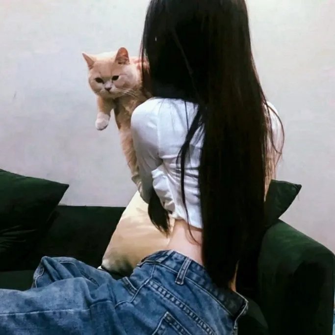 瑞盖特村之谜